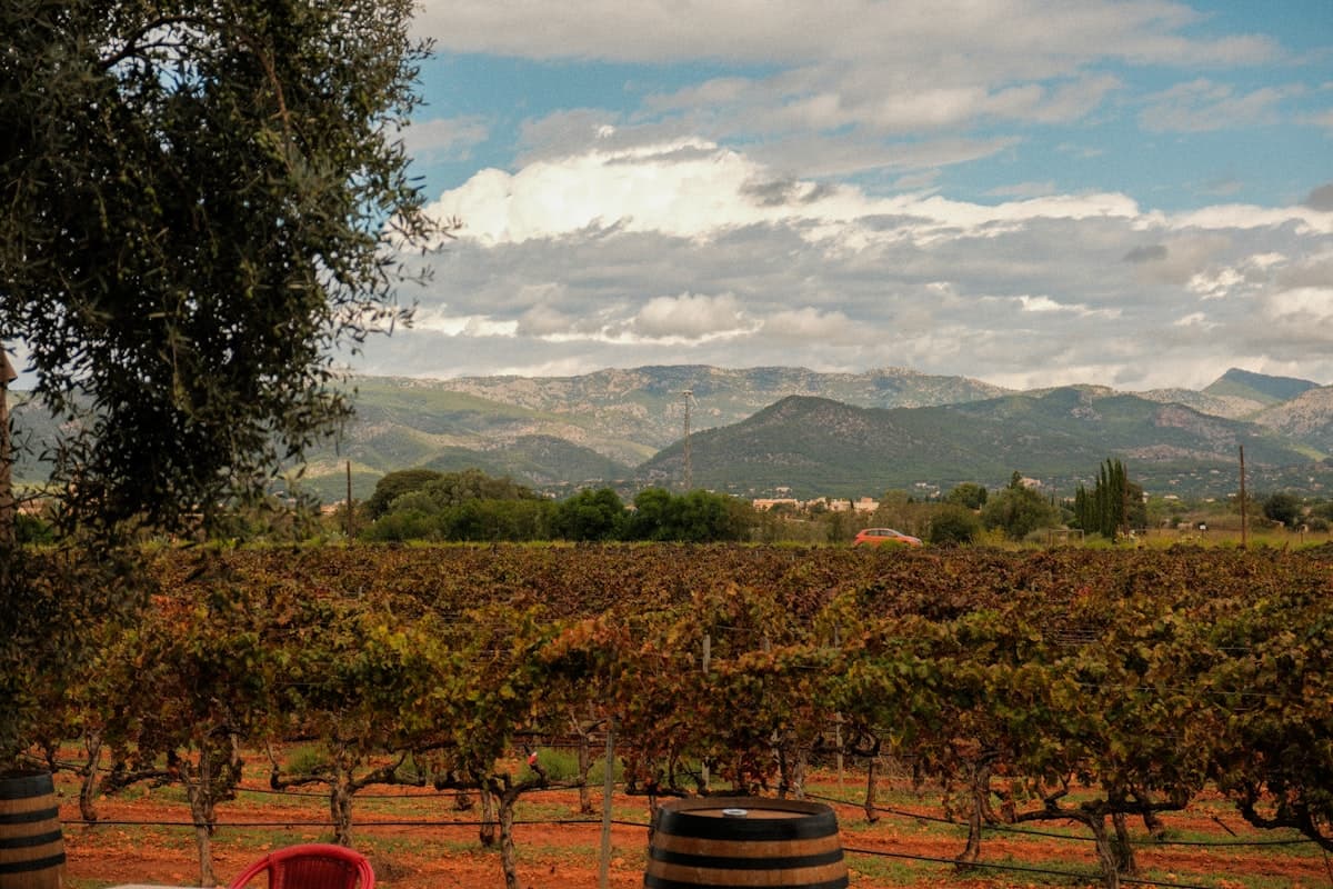 Guide for Brazilians in Spain: Discover the Province of Huesca