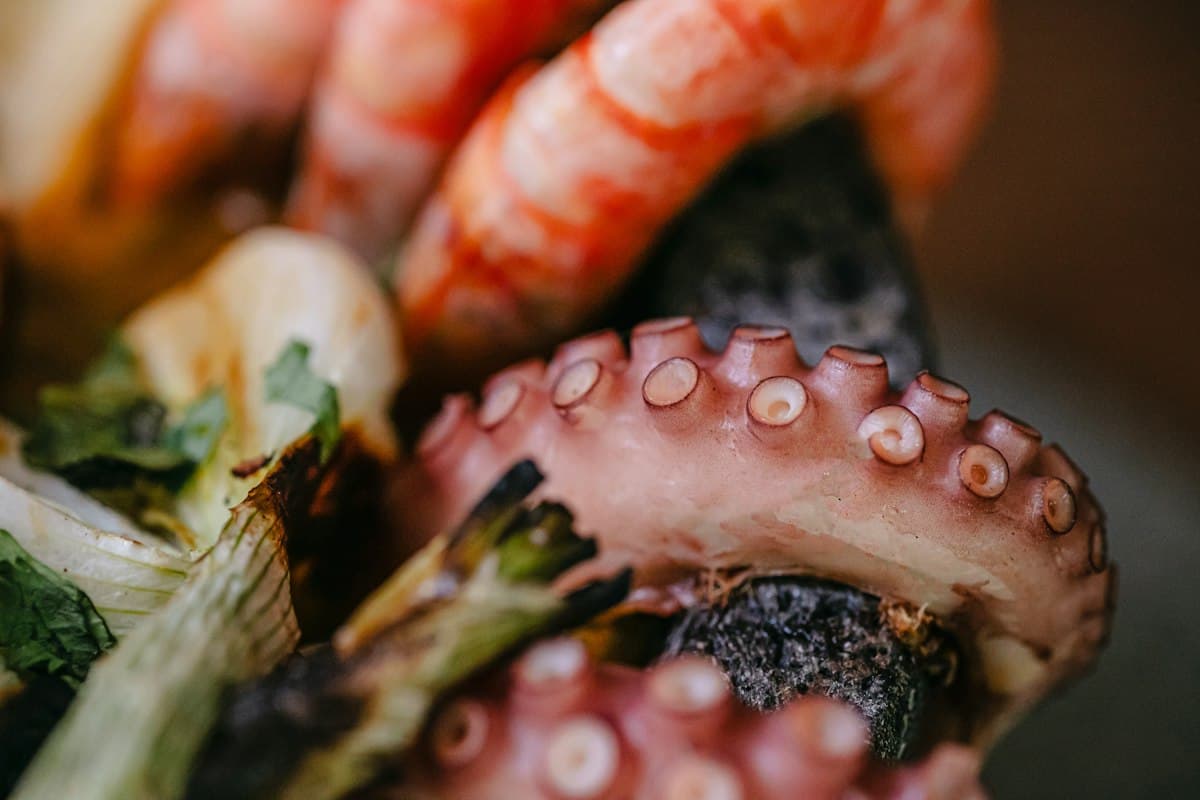 El Festival Gastronómico de la Gamba Roja de Garrucha celebra su séptima edición en noviembre