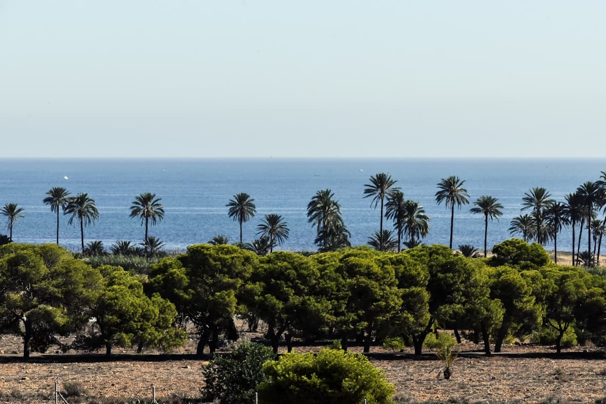 Bairros históricos de Alicante: uma viagem pela origem da cidade