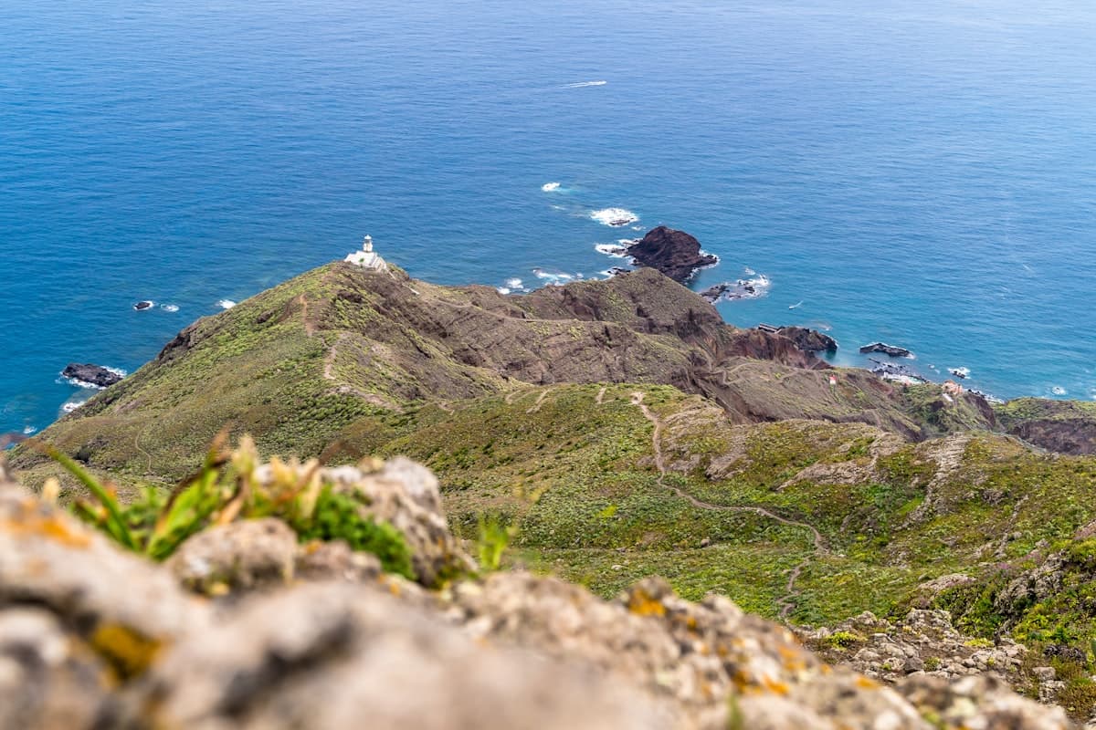 Guia de Santa Cruz de Tenerife: o que visitar e dicas práticas