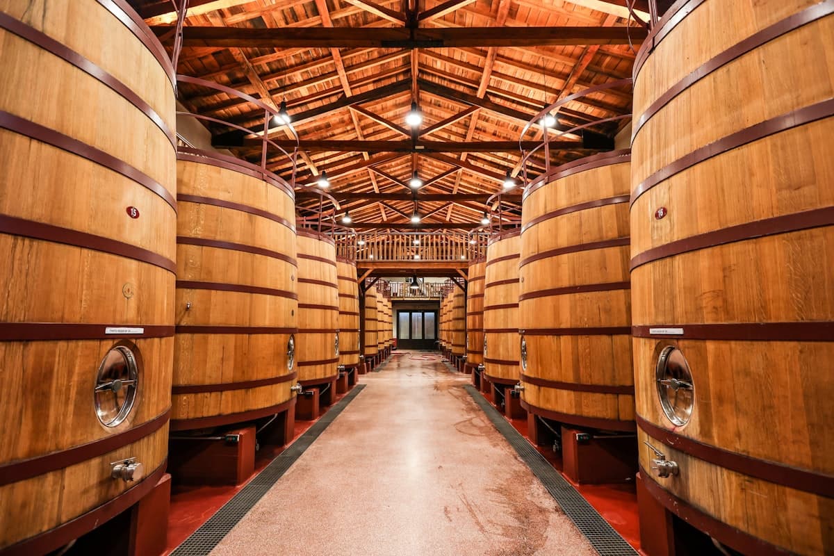 Haro: conoce la historia fascinante y los secretos de la capital del Rioja