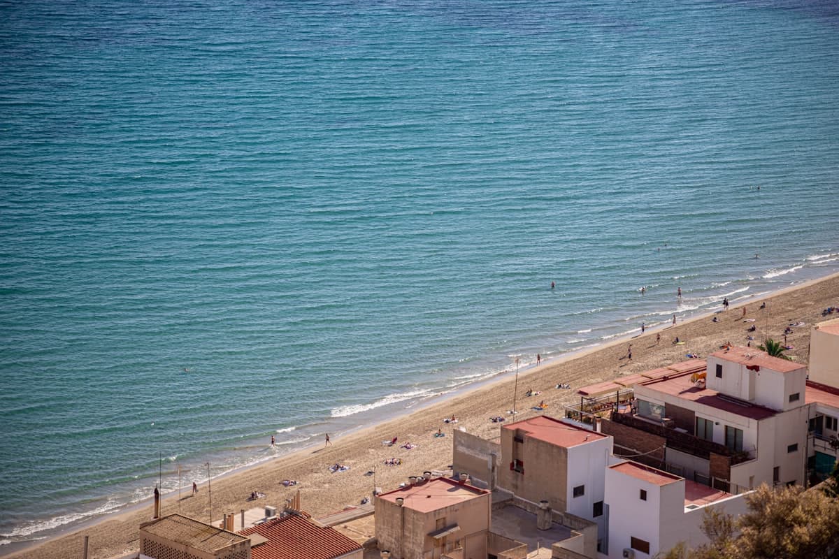 Servicios Sociales de Alicante: como acessar o atendimento municipal
